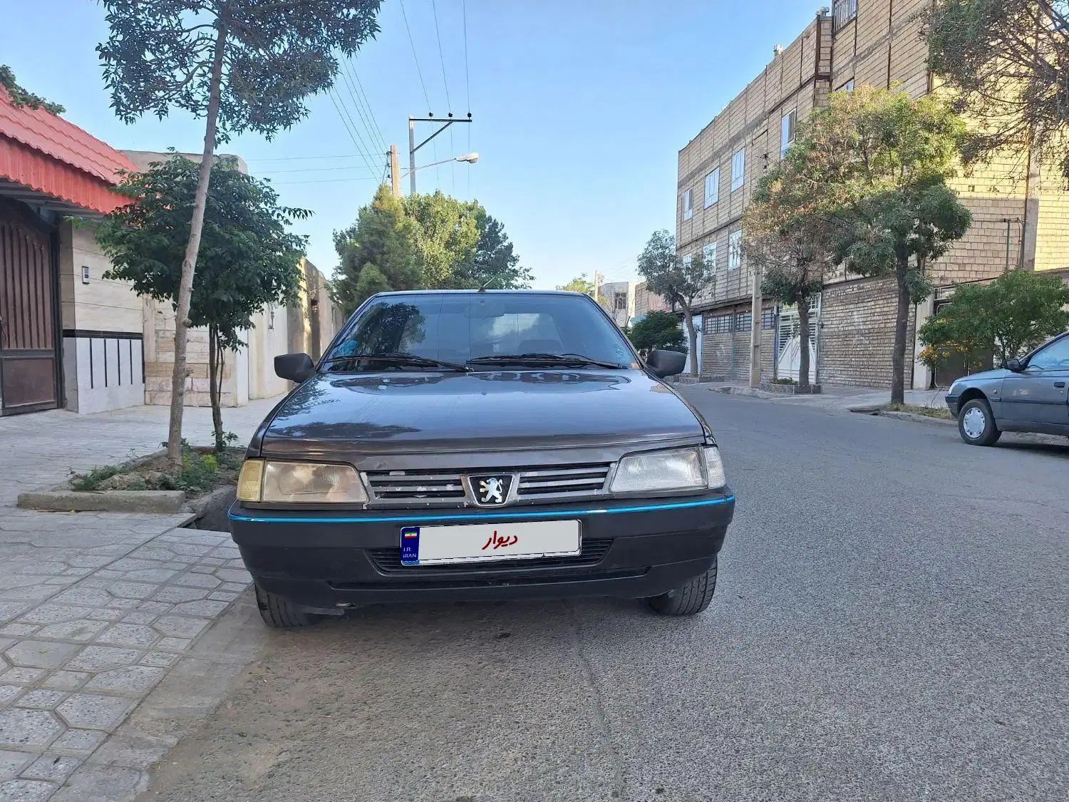 پژو روآ دوگانه سوز - 1387