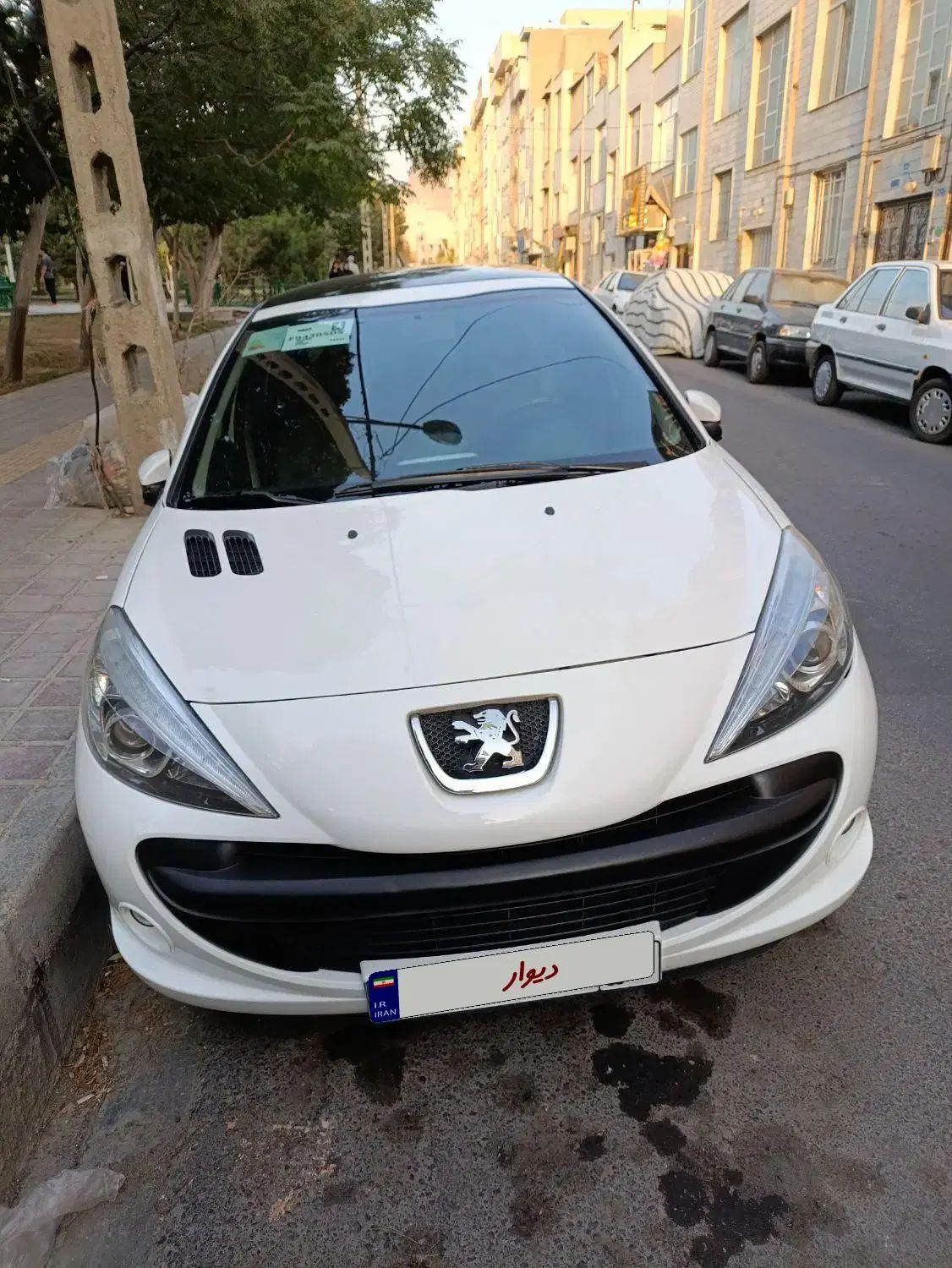 خودرو پژو، 207 آگهی ann_20064011