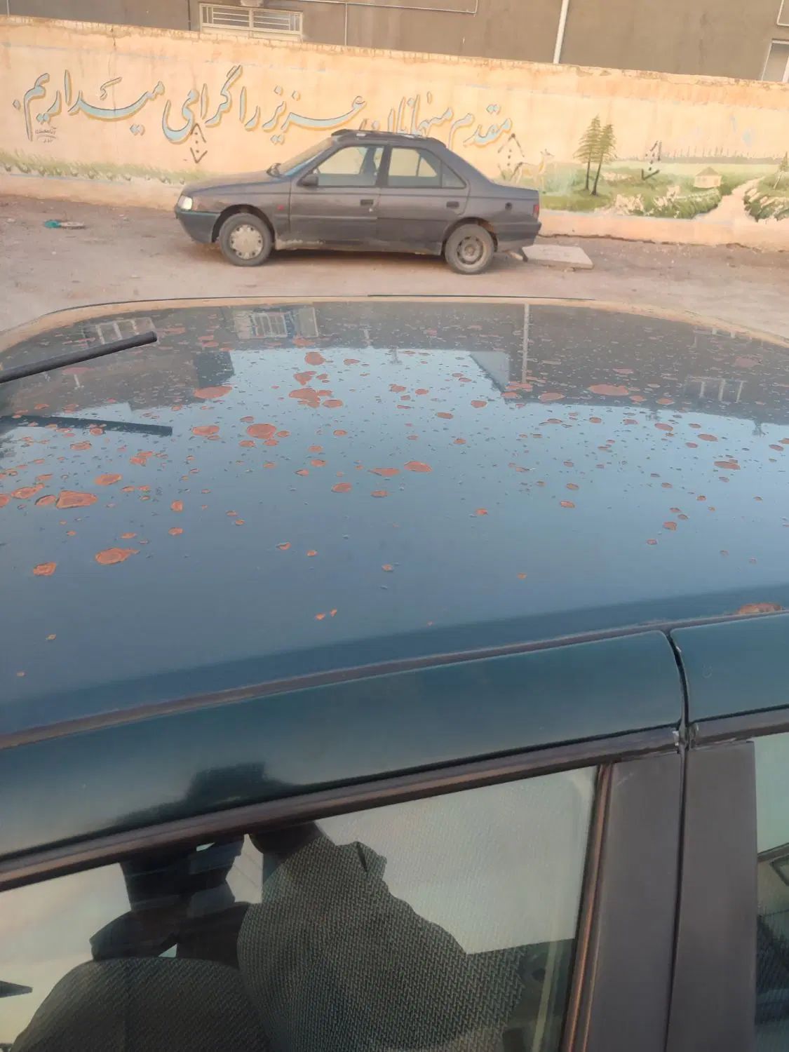 پژو آردی دوگانه سوز CNG - 1382