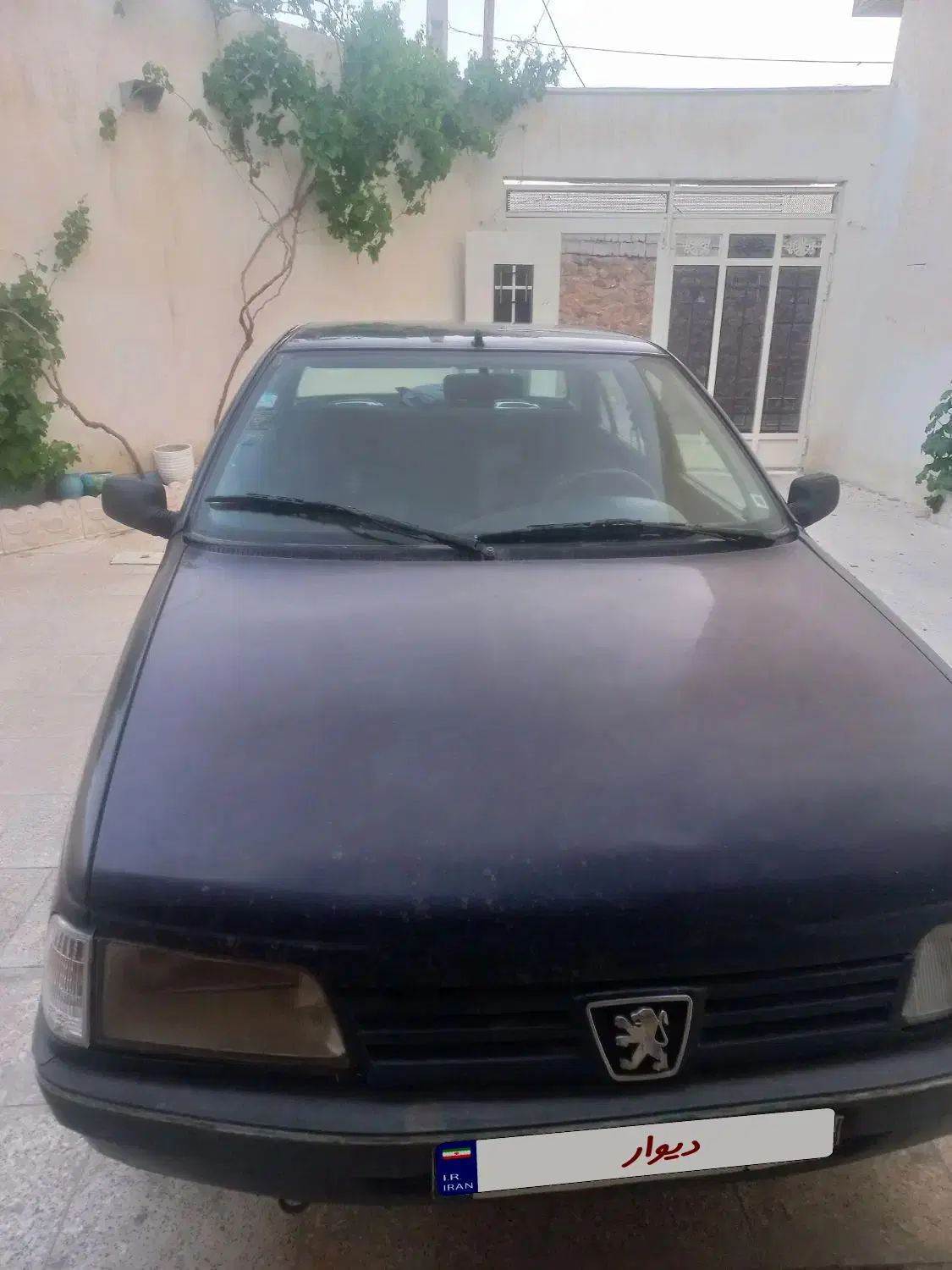 پژو آردی دوگانه سوز CNG - 1385