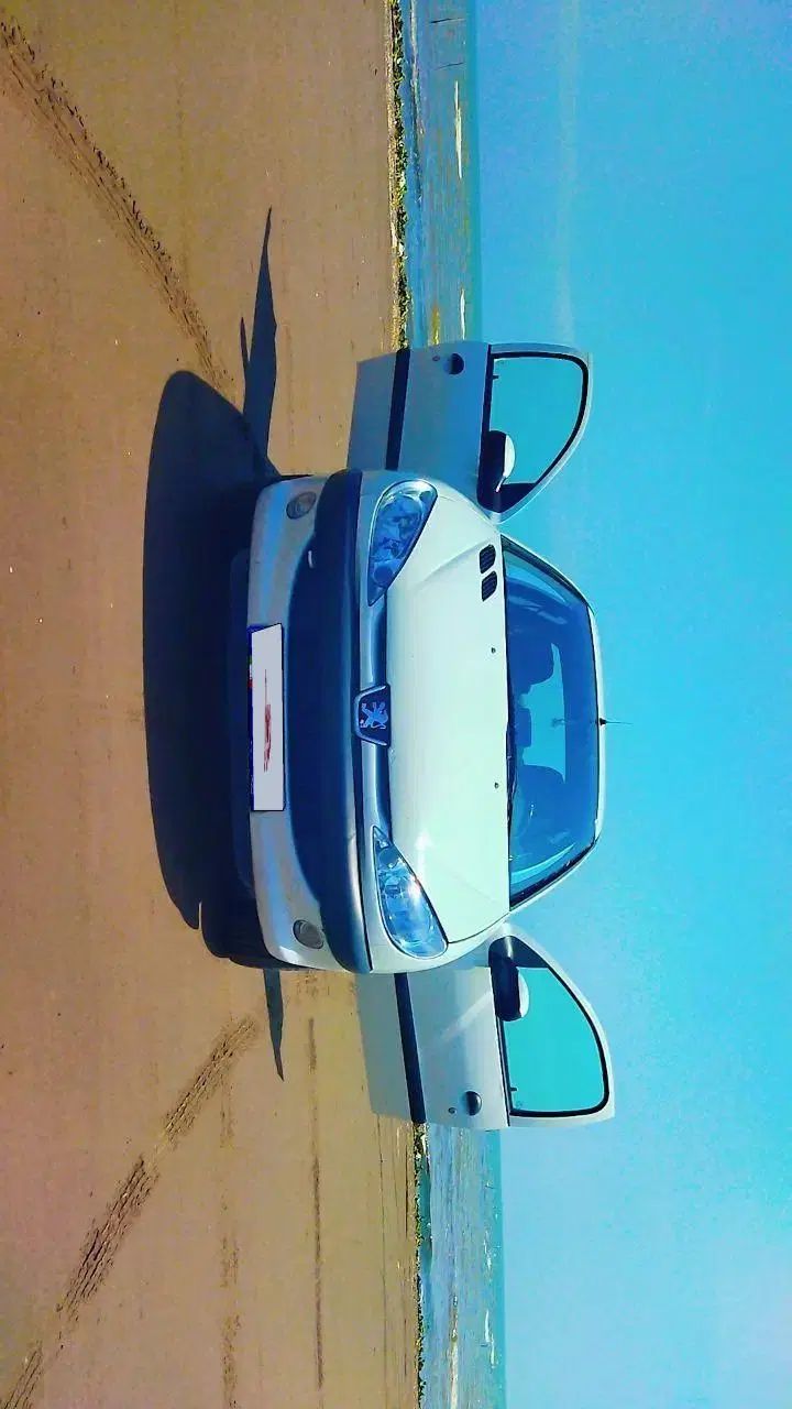 پژو ۲۰۶ صندوق دار v8 - 1391