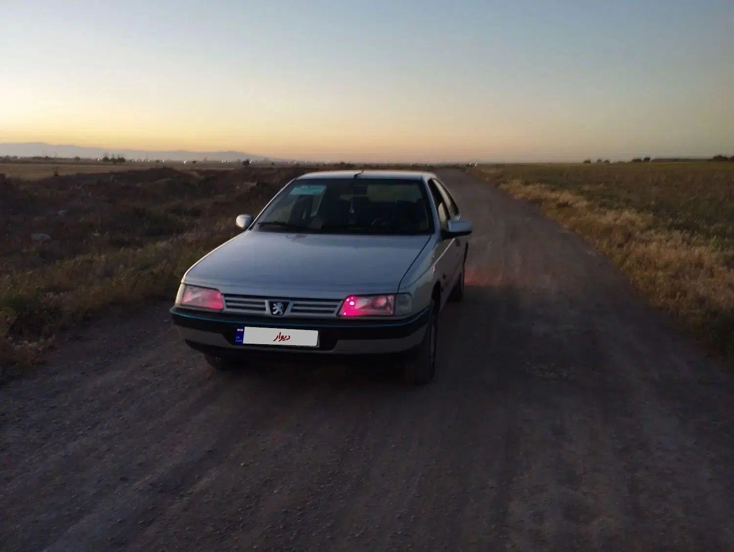 پژو 405 GL - دوگانه سوز CNG - 1379