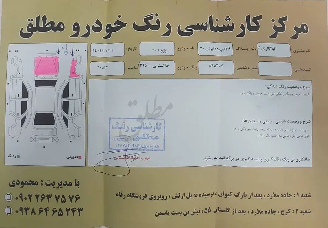 پژو 206 تیپ 5 - 1395