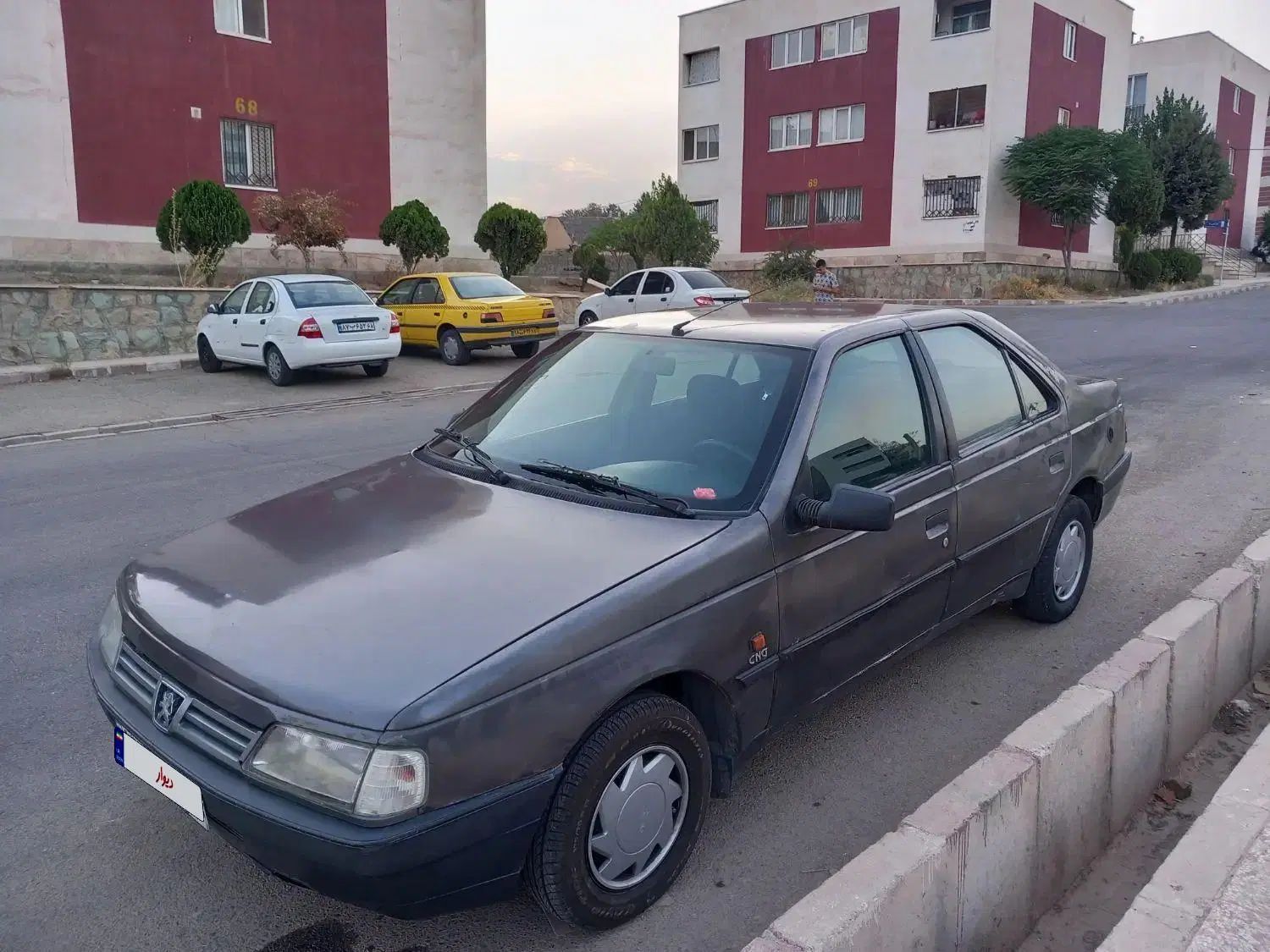 پژو روآ دوگانه سوز - 1387