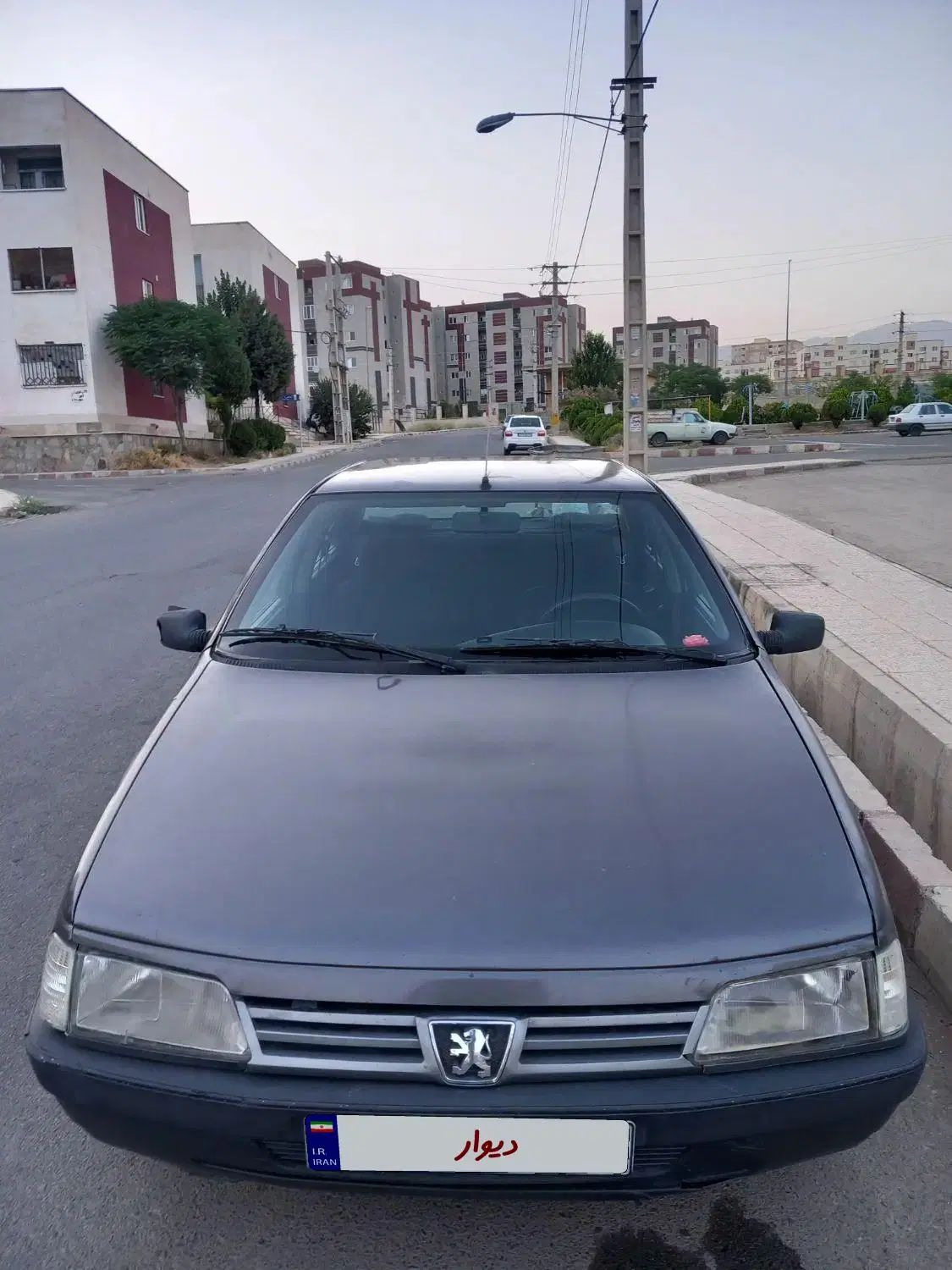 پژو روآ دوگانه سوز - 1387