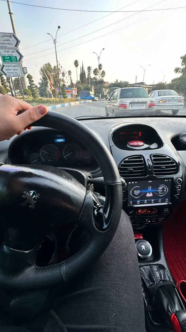 پژو 206 تیپ 5 - 1395