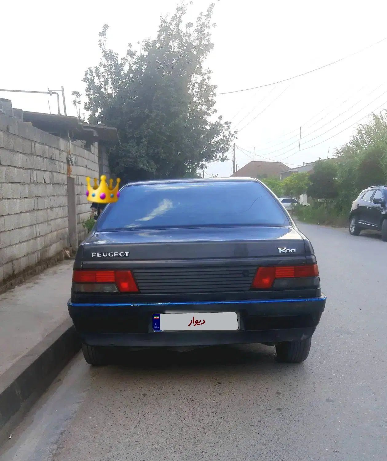 پژو روآ دوگانه سوز - 1385
