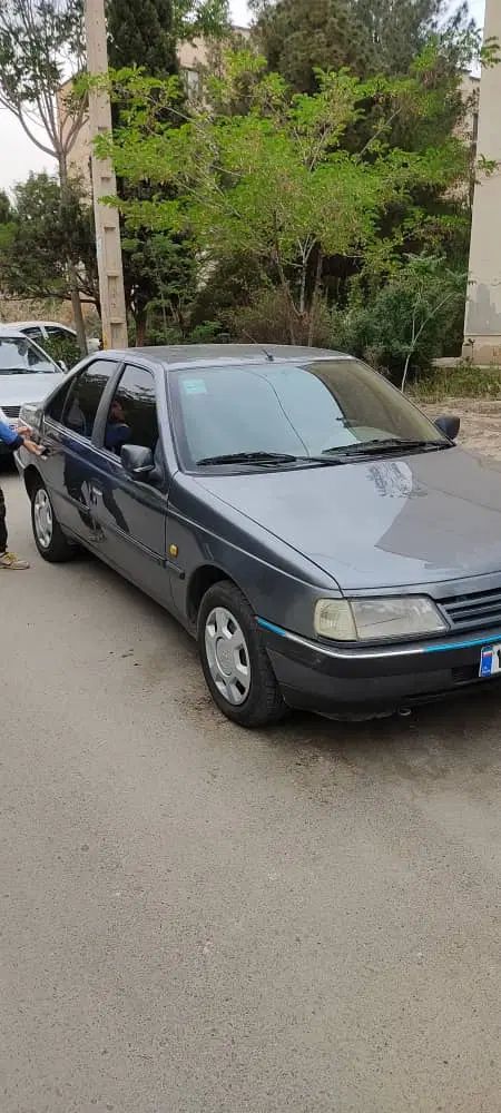 خودرو پژو، 405 آگهی ann_20070801