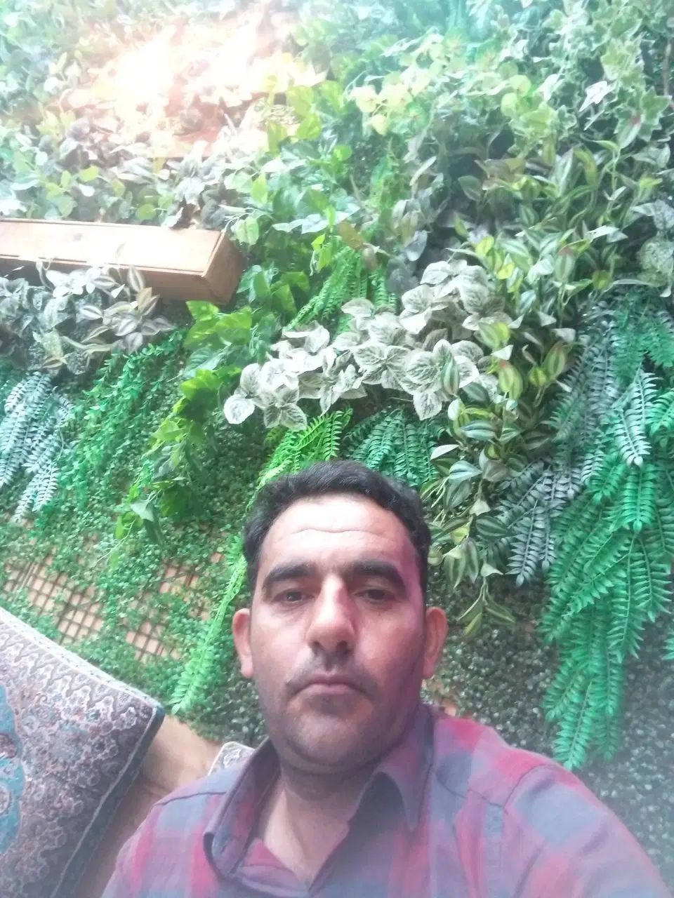 خودرو تیبا، 2 آگهی ann_20075140