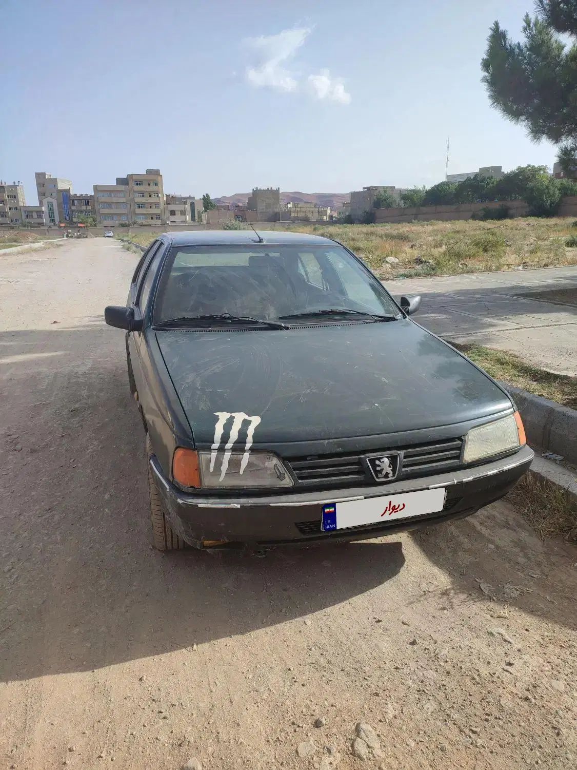 پژو آردی دوگانه سوز CNG - 1384