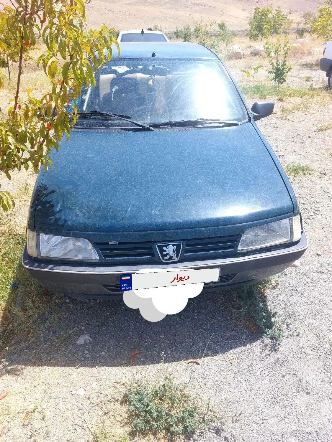 پژو آردی دوگانه سوز CNG - 1384
