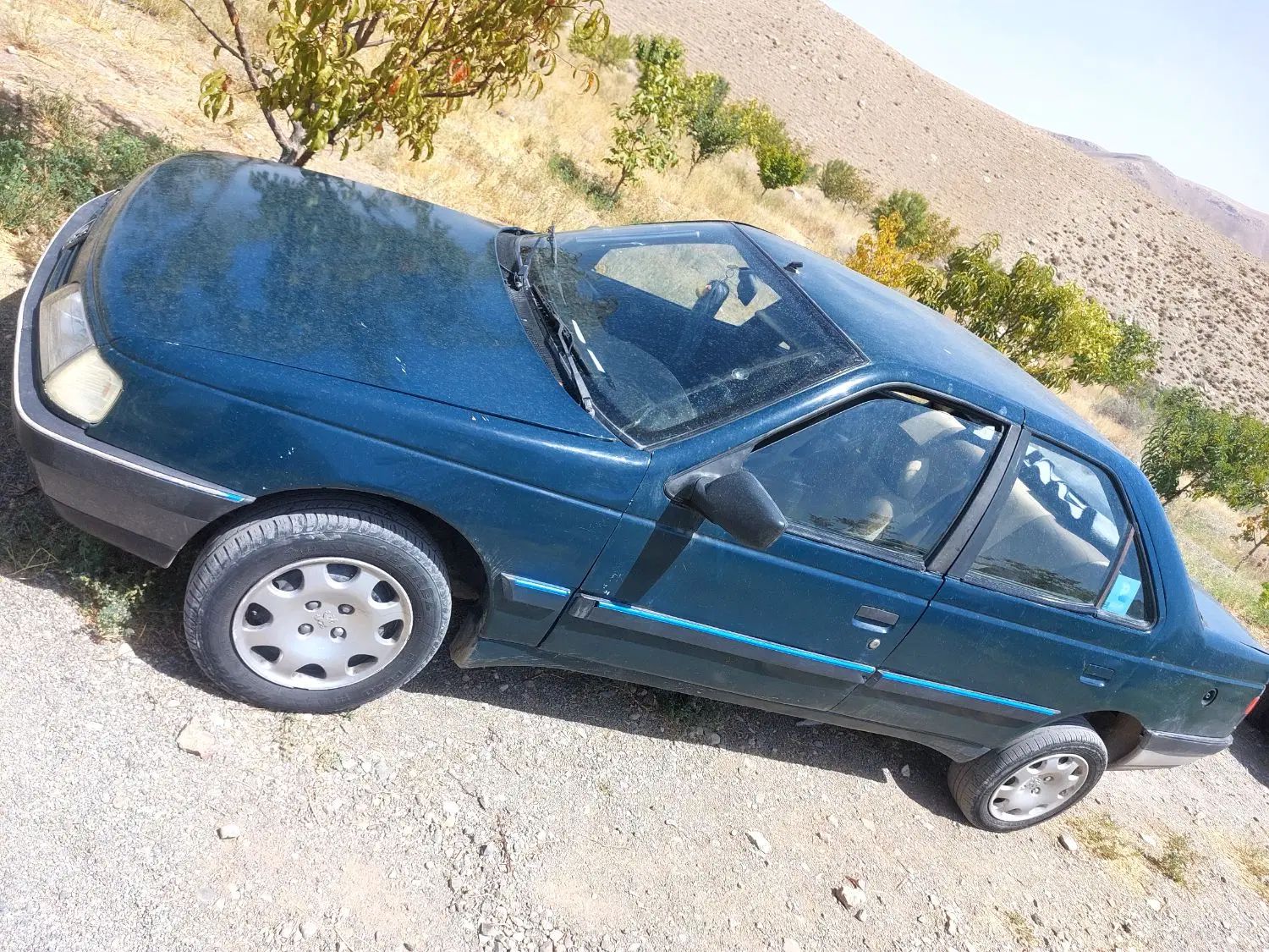 پژو آردی دوگانه سوز CNG - 1384