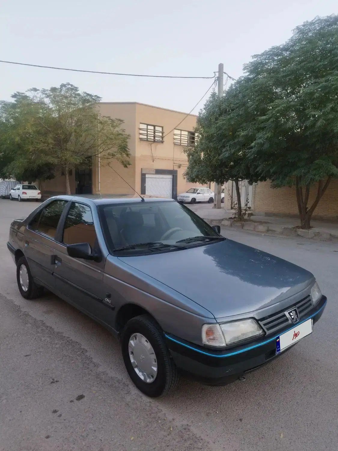 پژو 405 GLX - دوگانه سوز - 1397