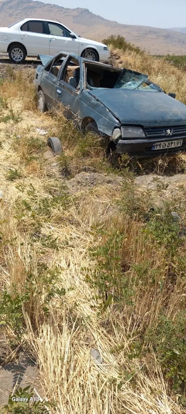 پژو آردی دوگانه سوز CNG - 1383