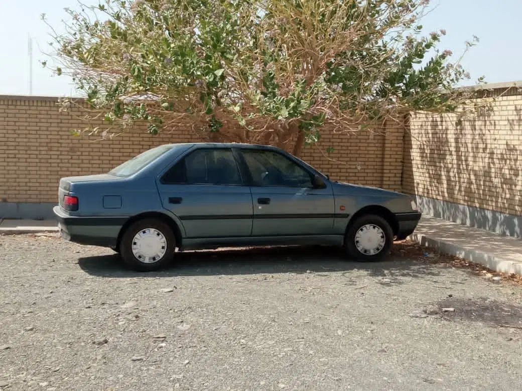 خودرو پژو، 405 آگهی ann_20081212