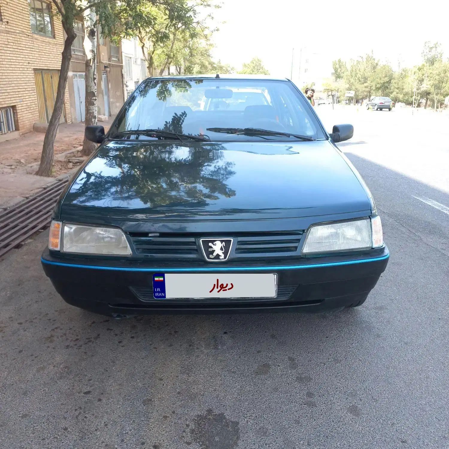 پژو آردی دوگانه سوز CNG - 1383