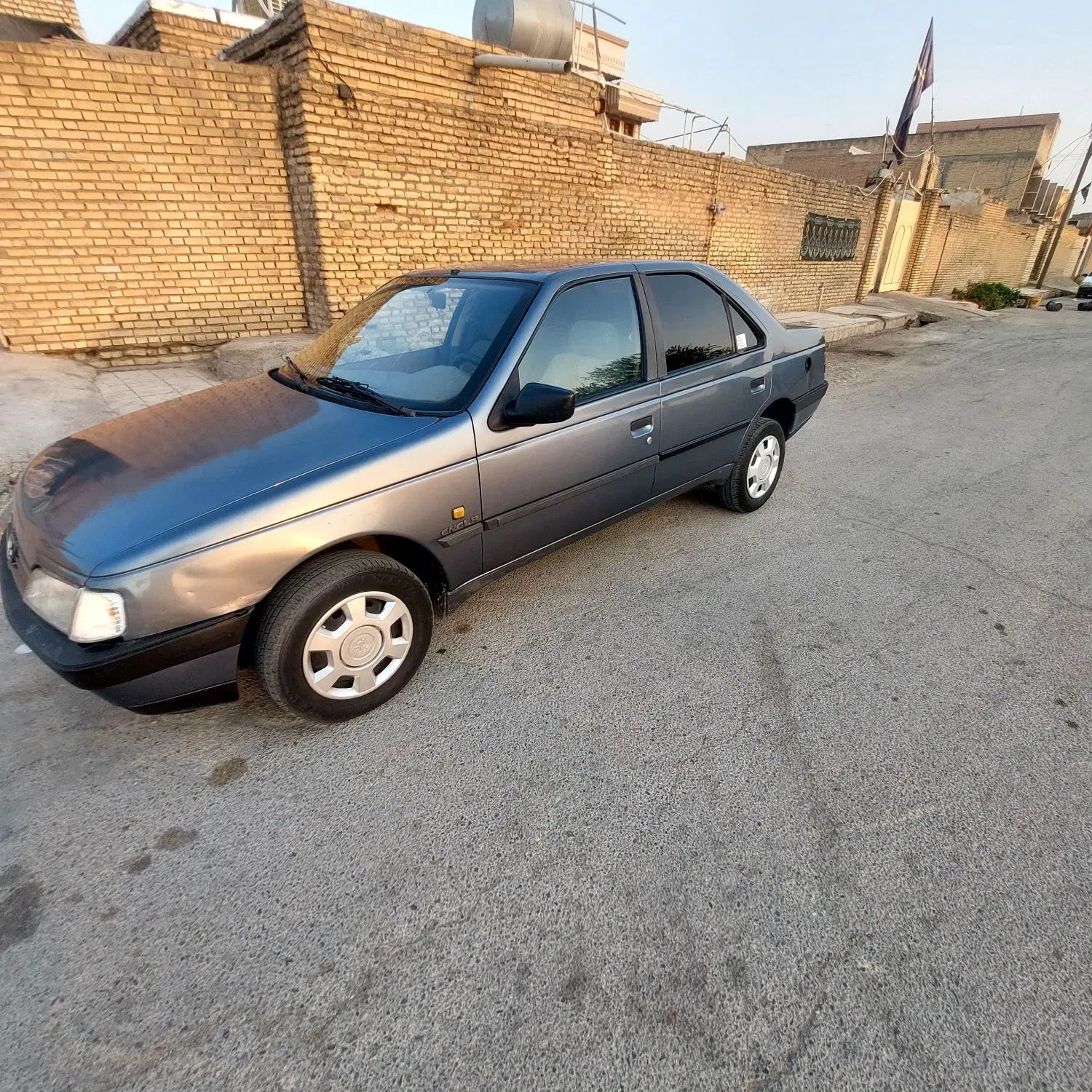 پژو 405 GLX - دوگانه سوز - 1394