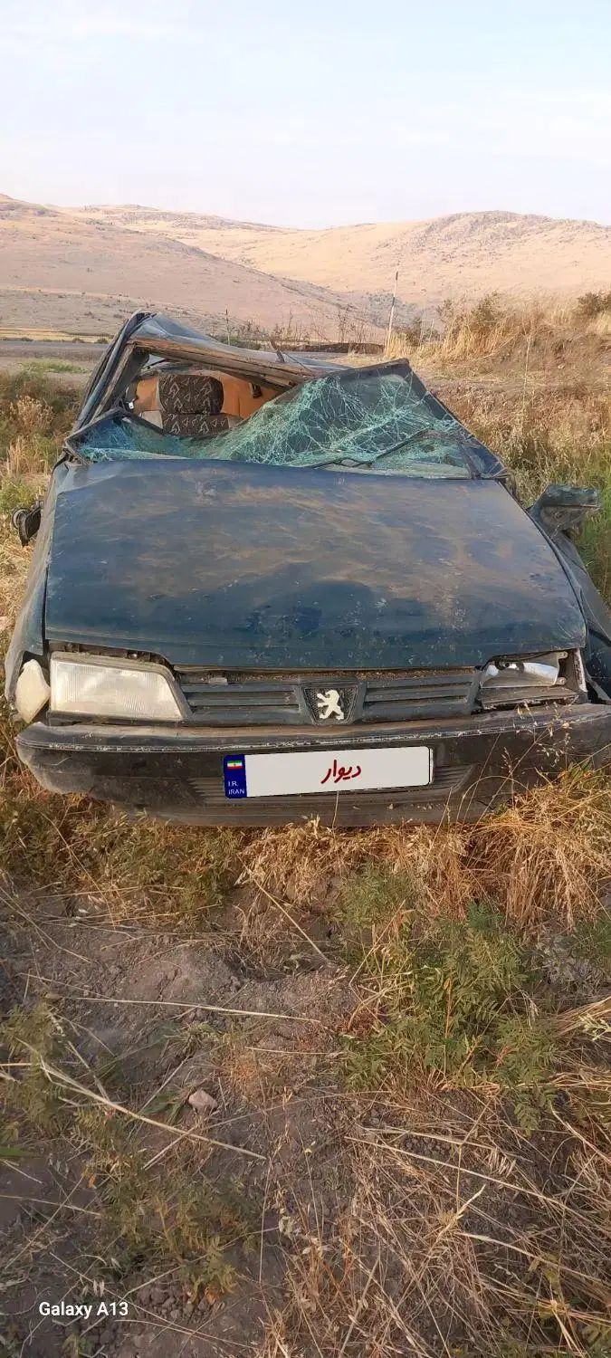 پژو آردی دوگانه سوز CNG - 1383