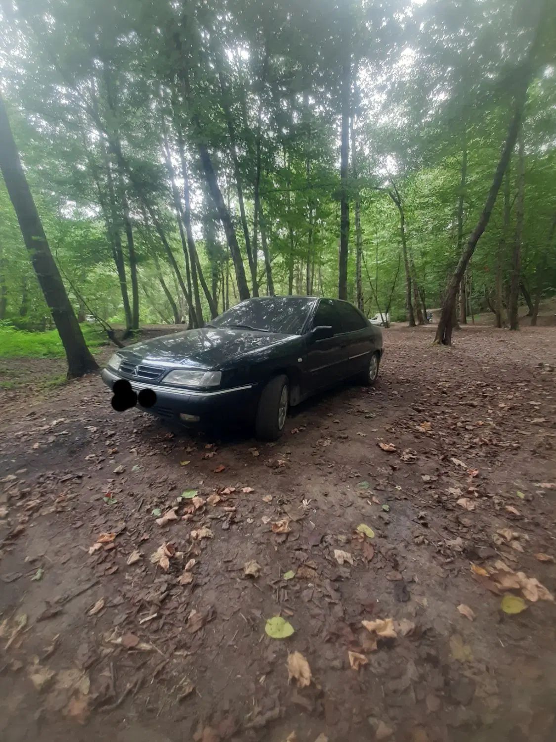 سیتروئن زانتیا X - 1383