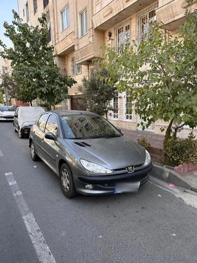 پژو 206 تیپ 5 - 1395