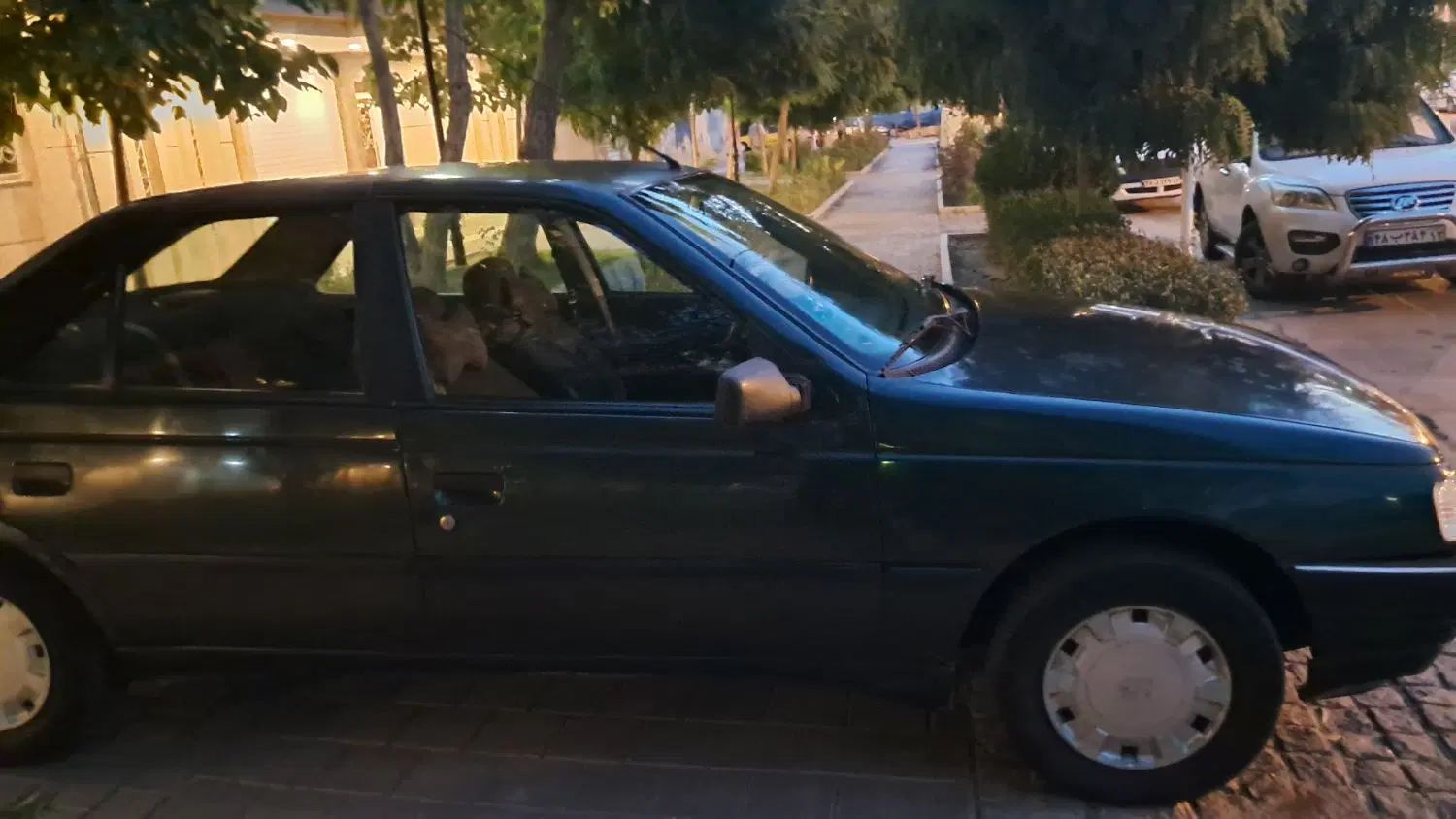 پژو 405 GLX - دوگانه سوز - 1380
