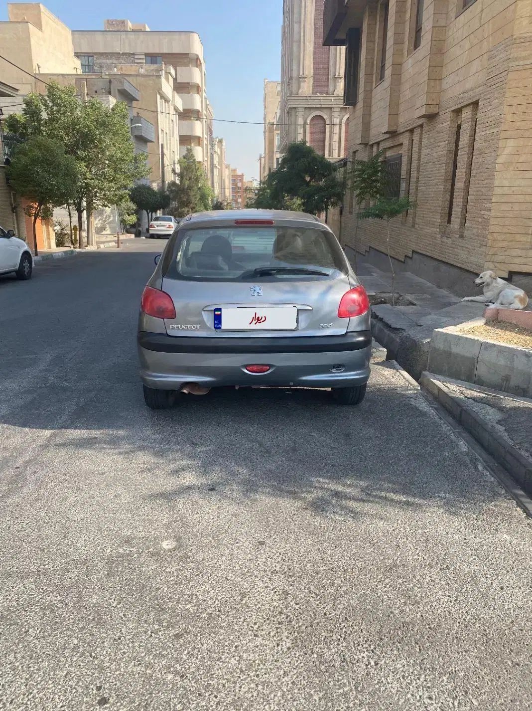 پژو 206 تیپ 2 - 1389