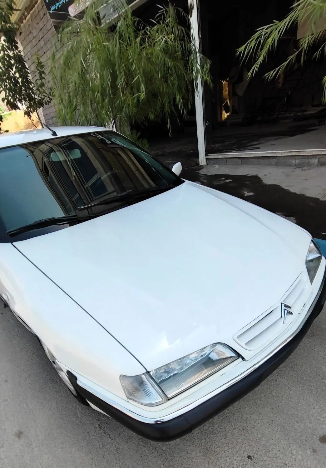سیتروئن زانتیا SX - 1388