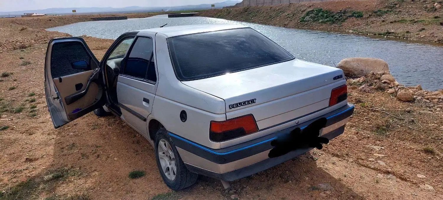 پژو 405 GLX - دوگانه سوز - 1393