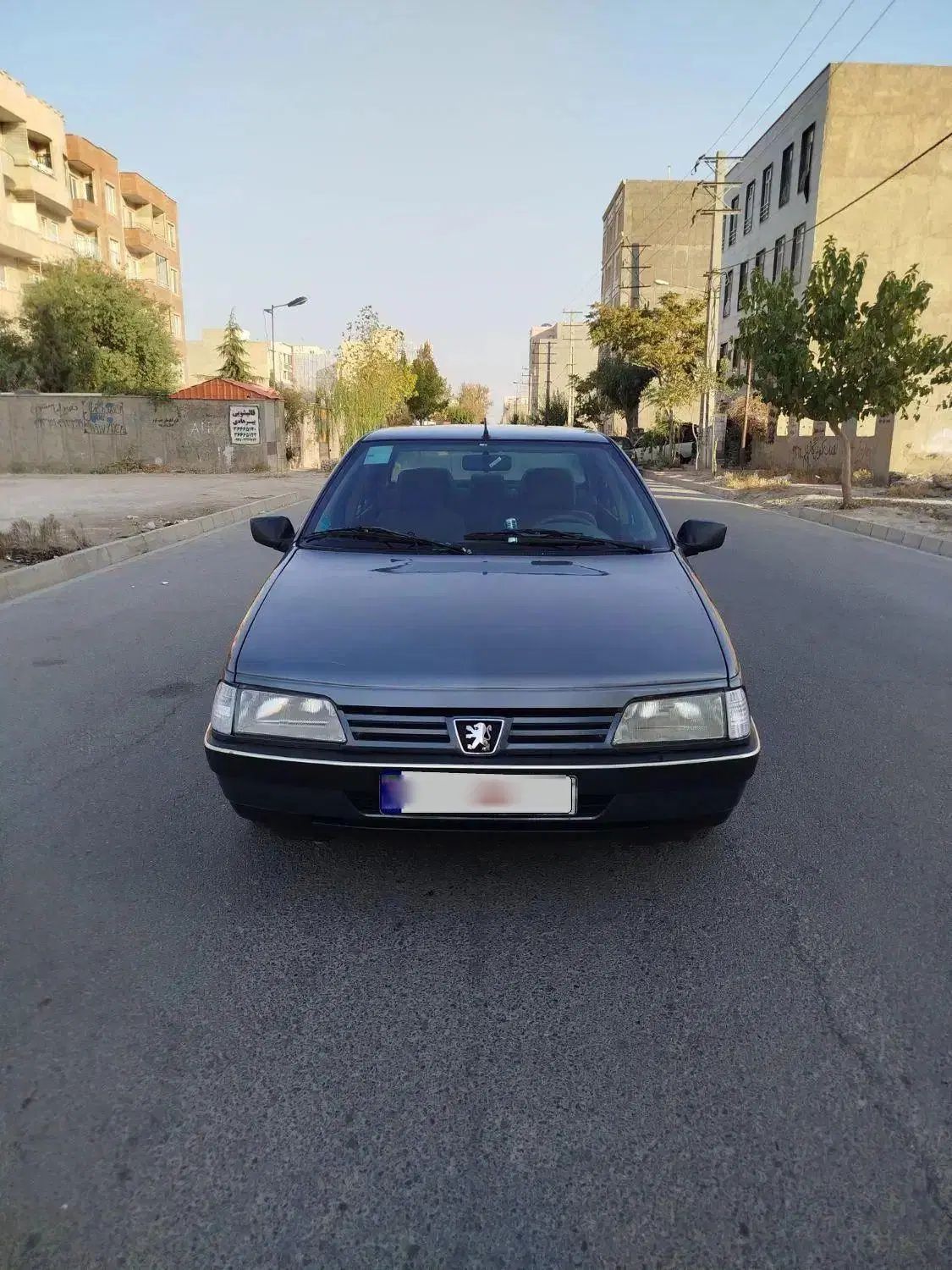 خودرو پژو، 405 آگهی ann_20089695