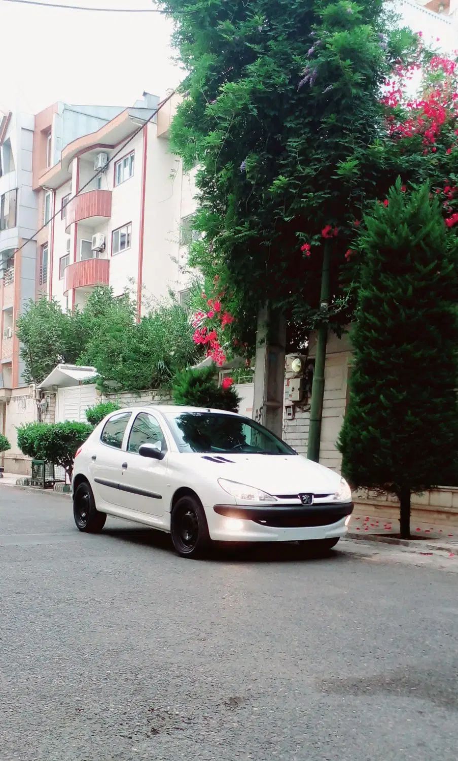 خودرو پژو، 206 آگهی ann_20089742