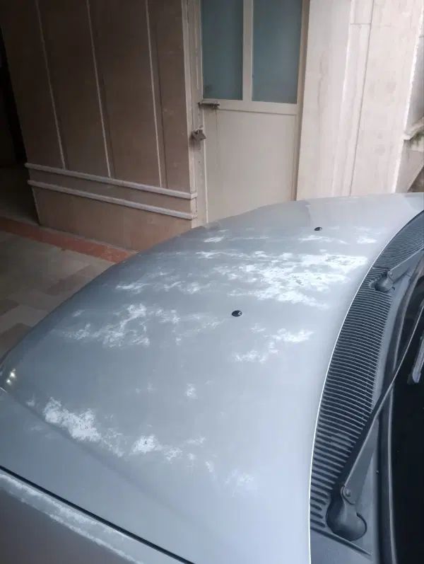 رنو تندر 90 E2 - 1390