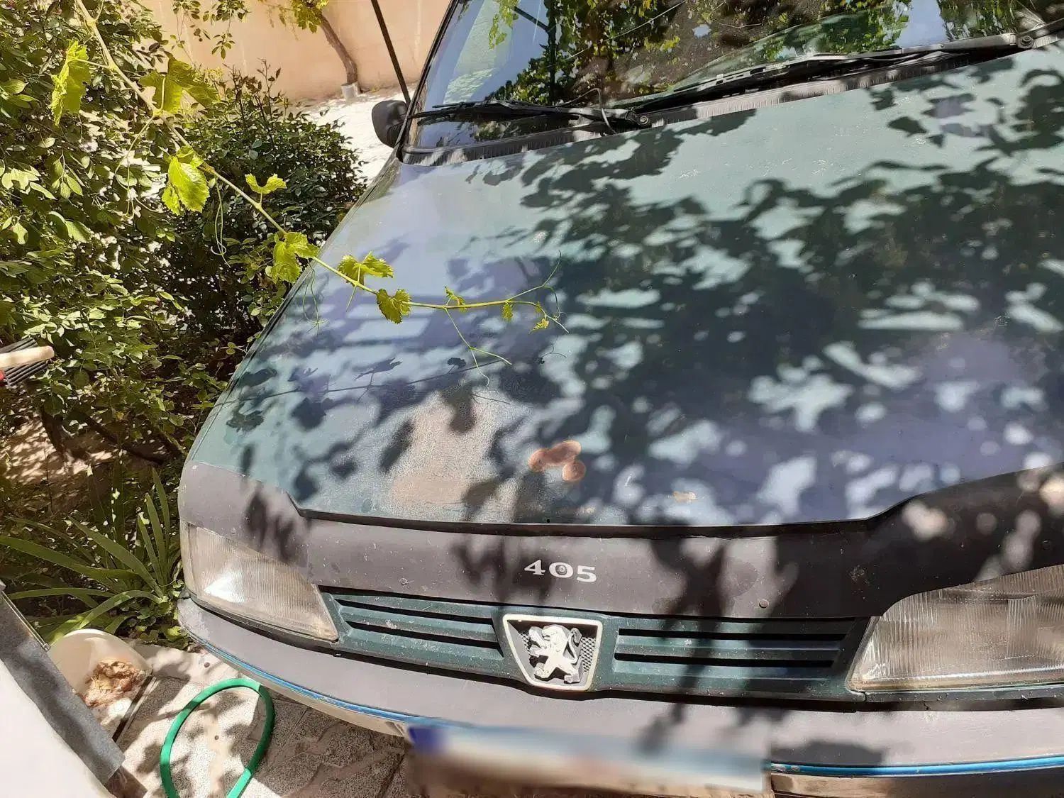 پژو آردی دوگانه سوز CNG - 1381