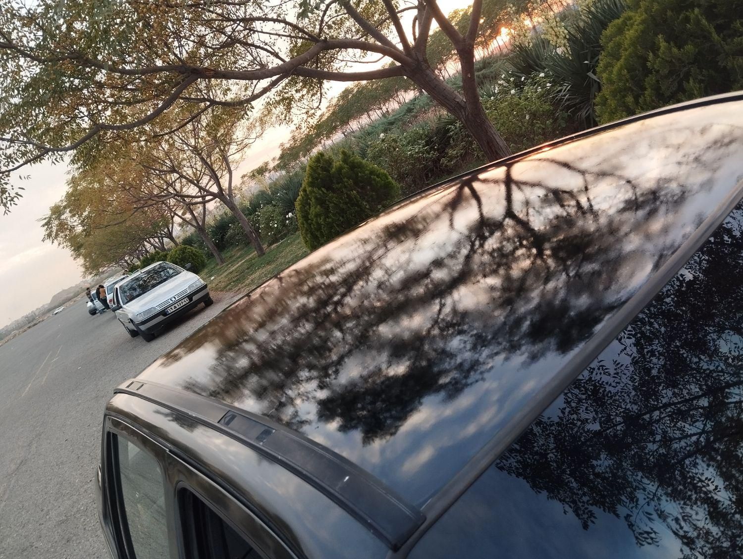 دوو سیلو سدان - 1382