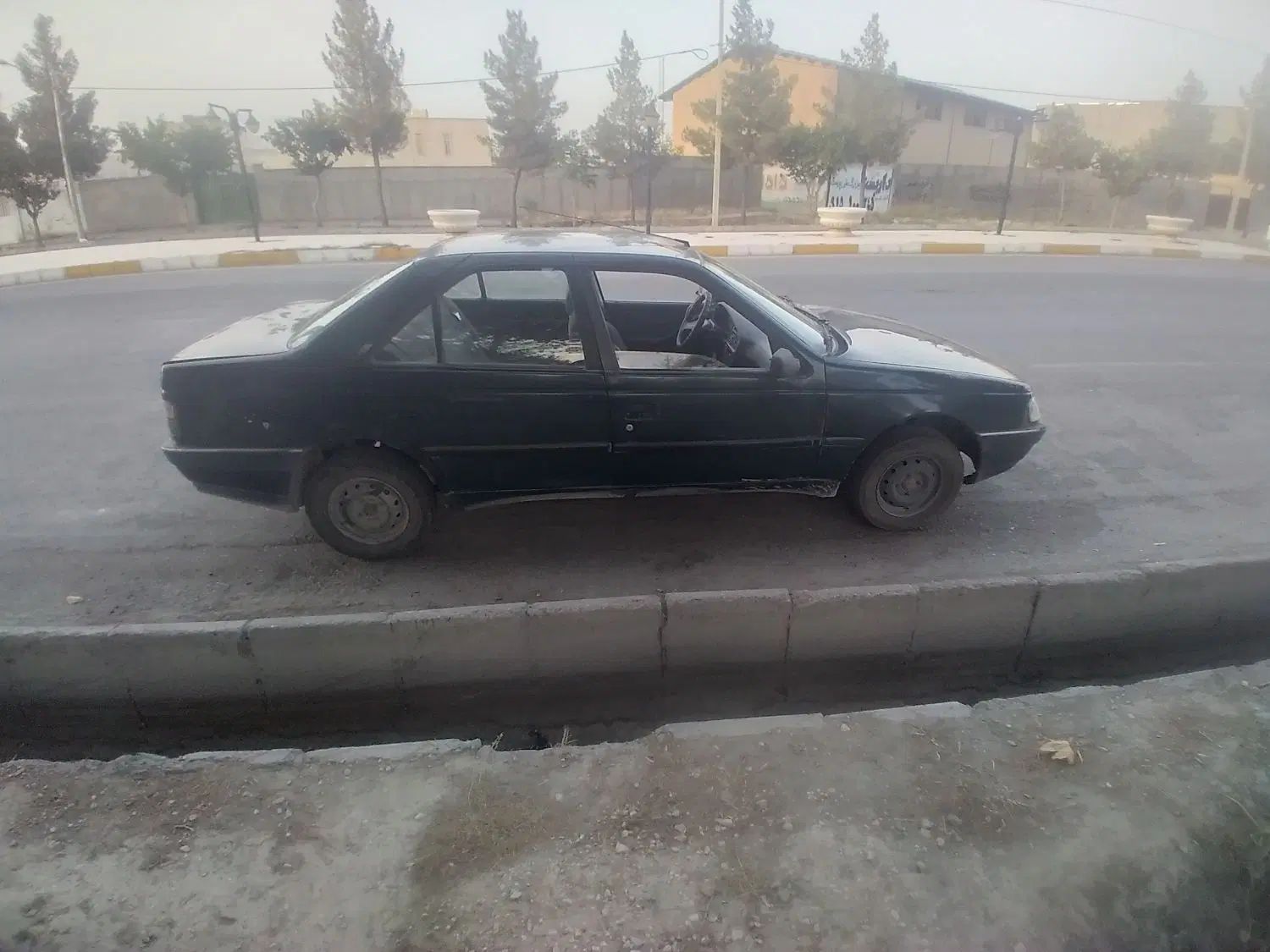 پژو آردی دوگانه سوز CNG - 1384