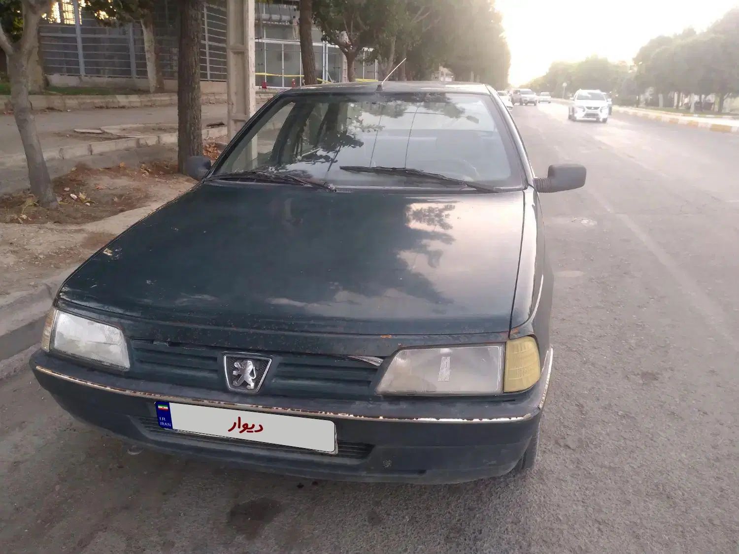 پژو آردی دوگانه سوز CNG - 1384