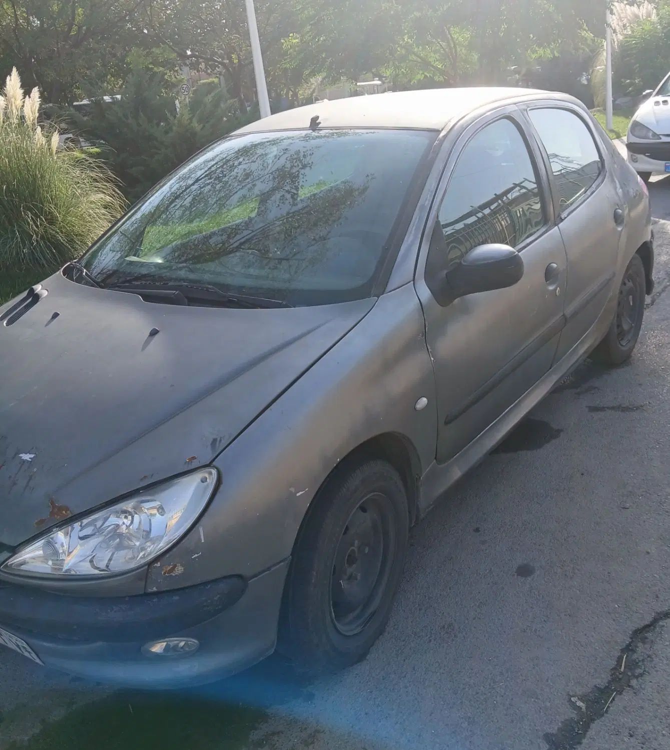خودرو پژو، 206 آگهی ann_20094320