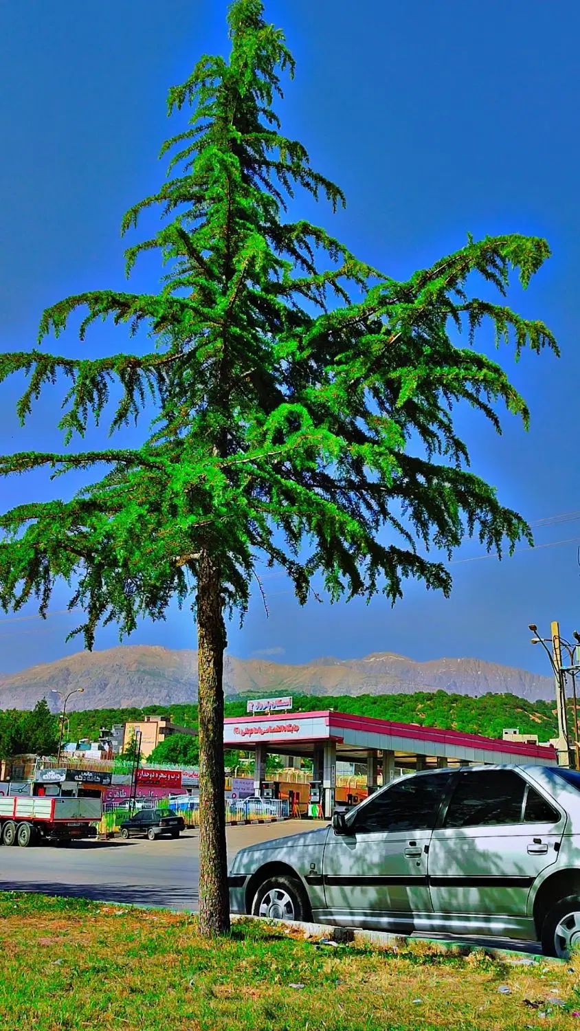 خودرو پژو، 207 آگهی ann_20095298