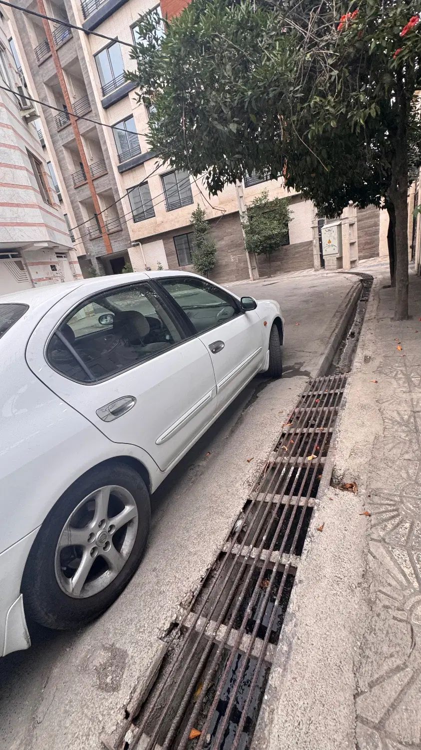 نیسان ماکسیما اتوماتیک - 1388