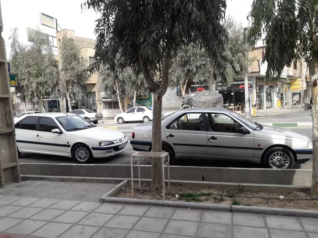 خودرو پژو، 405 آگهی ann_20095701