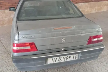پژو 405 GLX - 1389