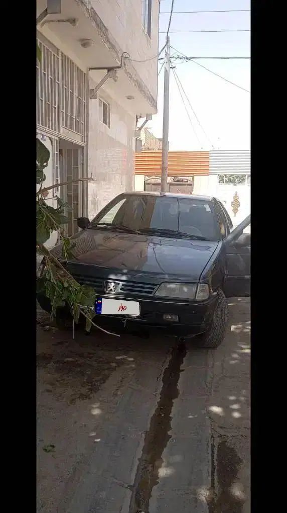 خودرو پژو، 405 آگهی ann_20097972