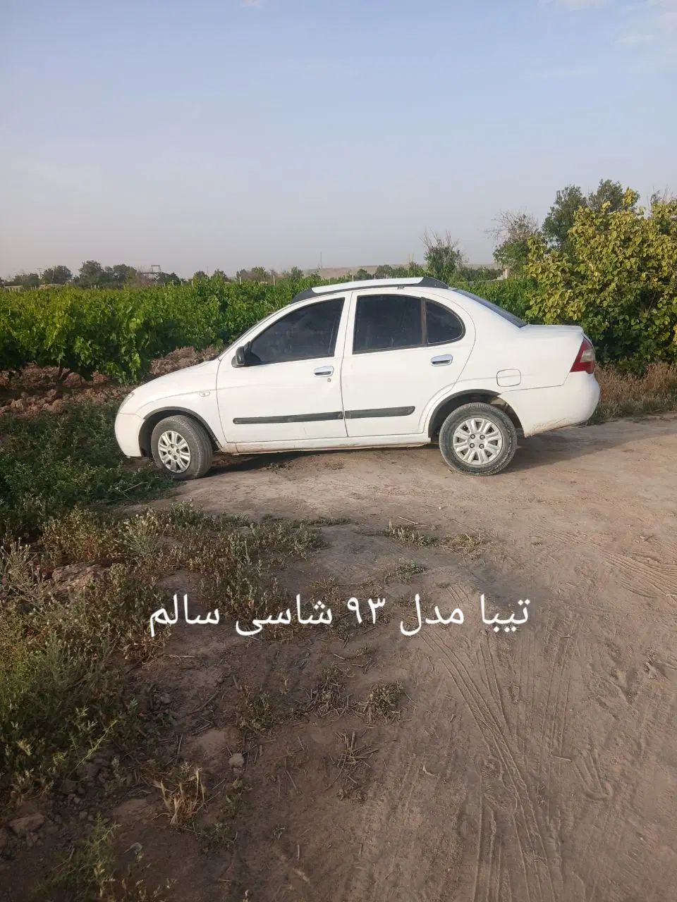 خودرو تیبا، صندوق دار آگهی ann_20098718