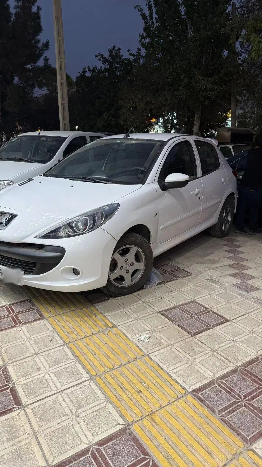 خودرو پژو، 207 آگهی ann_20100349