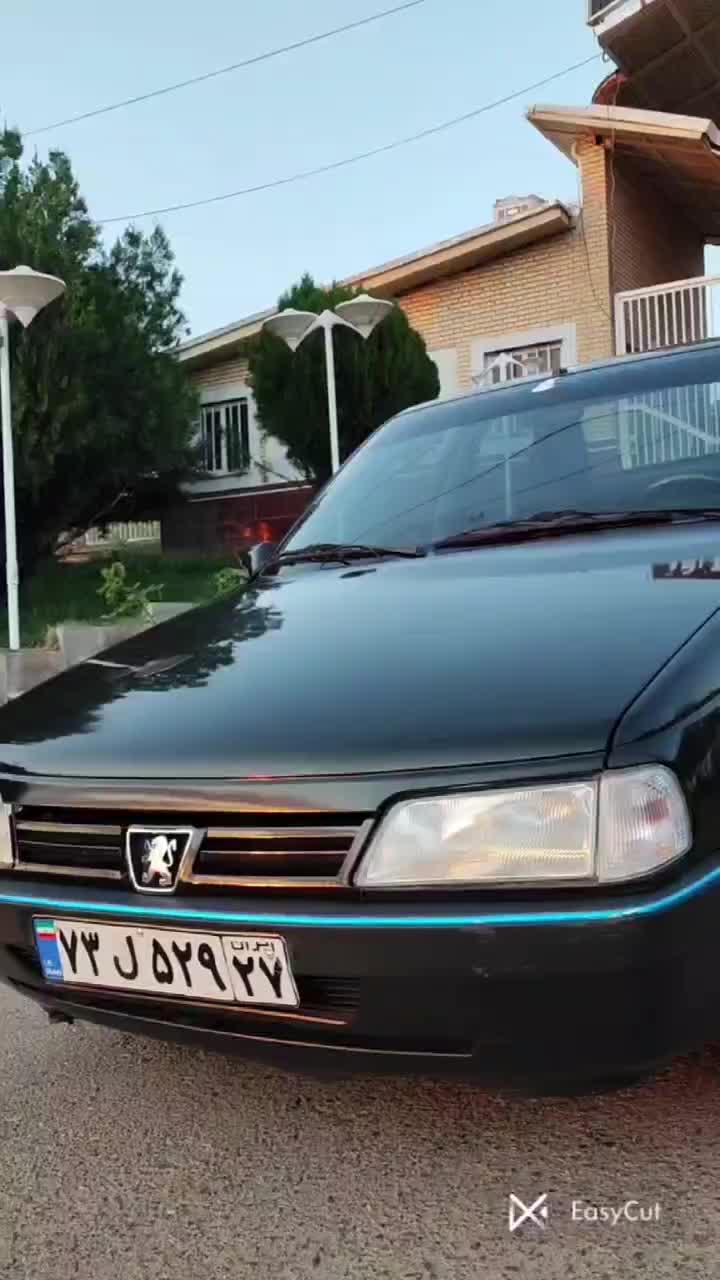 پژو 405 GLX - 1383