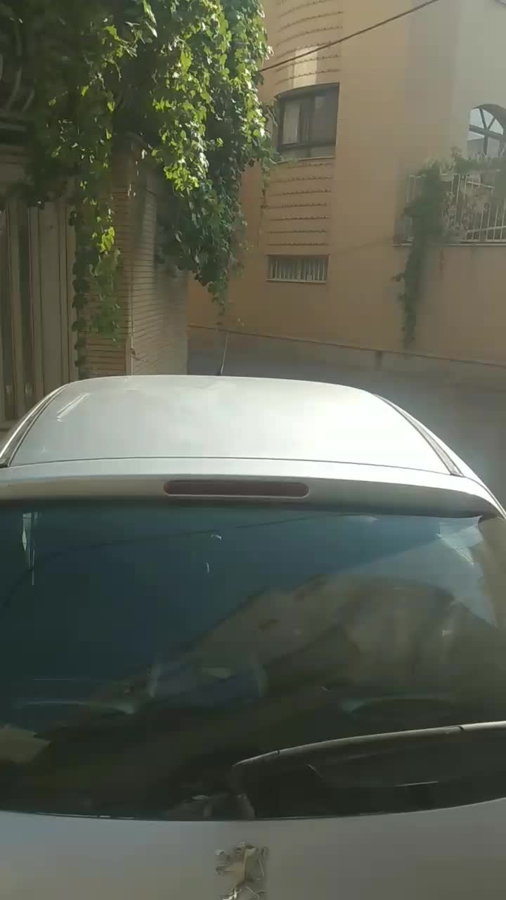 خودرو پژو، 206 آگهی ann_20101826