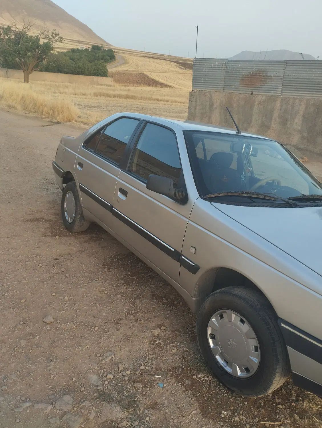 پژو 405 GLX - دوگانه سوز - 1388