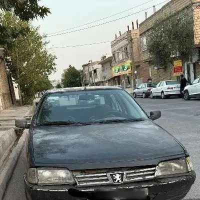 پژو 405 GL - 1373