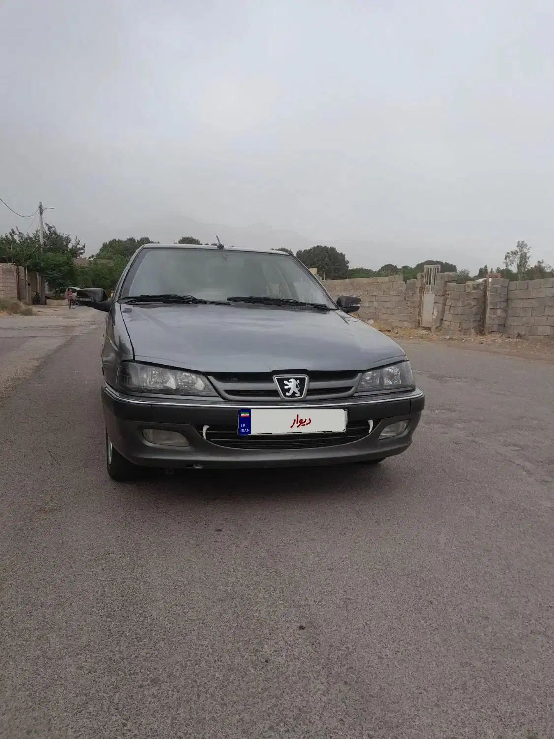 پژو پارس ELX-XU7P سفارشی - 1393