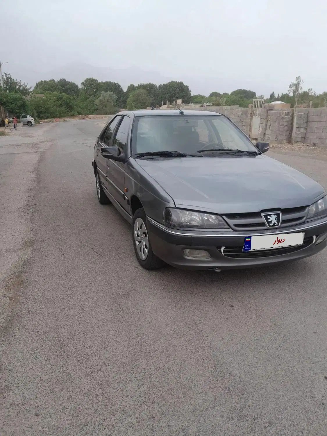 پژو پارس ELX-XU7P سفارشی - 1393