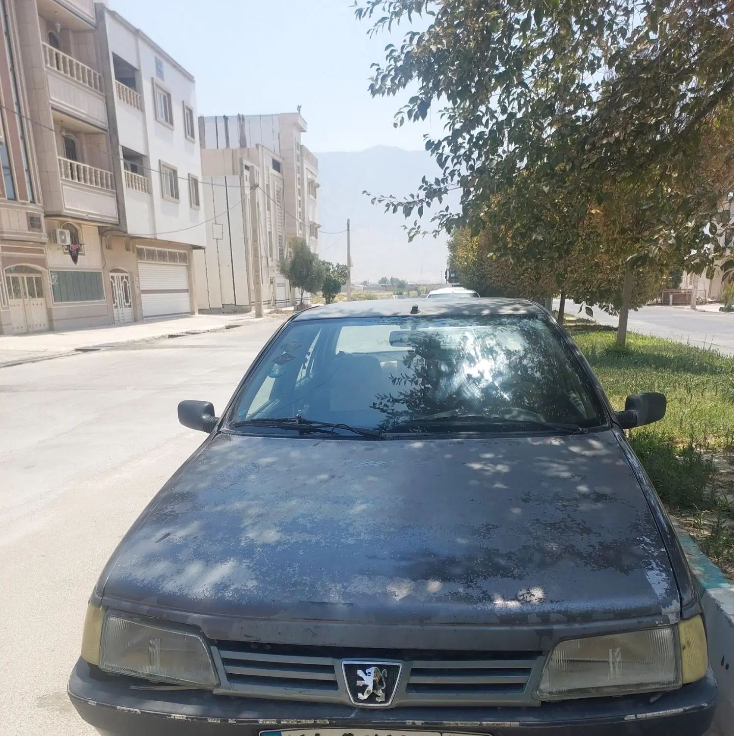 پژو روآ دوگانه سوز - 1387